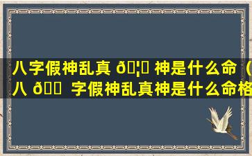 八字假神乱真 🦊 神是什么命（八 🐠 字假神乱真神是什么命格）